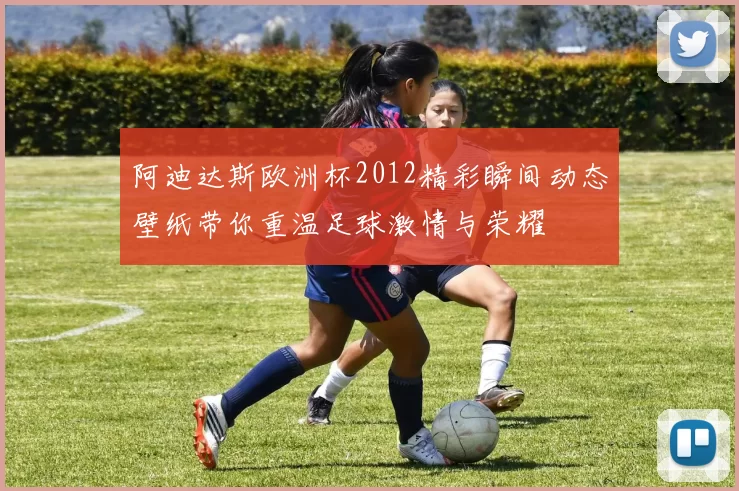 阿迪达斯欧洲杯2012精彩瞬间动态壁纸带你重温足球激情与荣耀