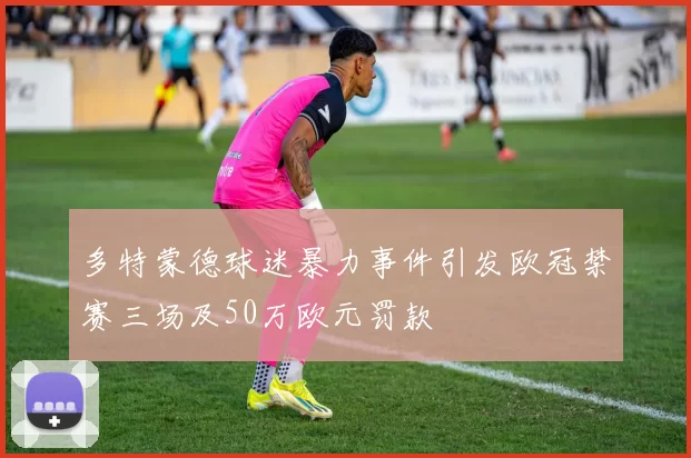 多特蒙德球迷暴力事件引发欧冠禁赛三场及50万欧元罚款