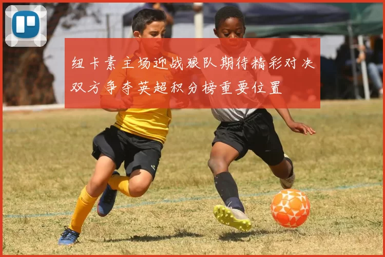 纽卡素主场迎战狼队期待精彩对决双方争夺英超积分榜重要位置