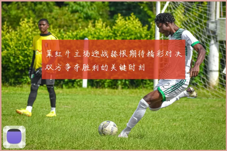 莱红牛主场迎战赫根期待精彩对决双方争夺胜利的关键时刻